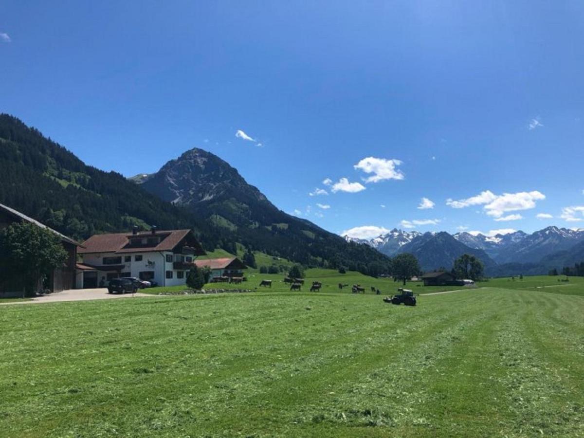 Hemerhof - Ferienwohnungen Оберстдорф Экстерьер фото