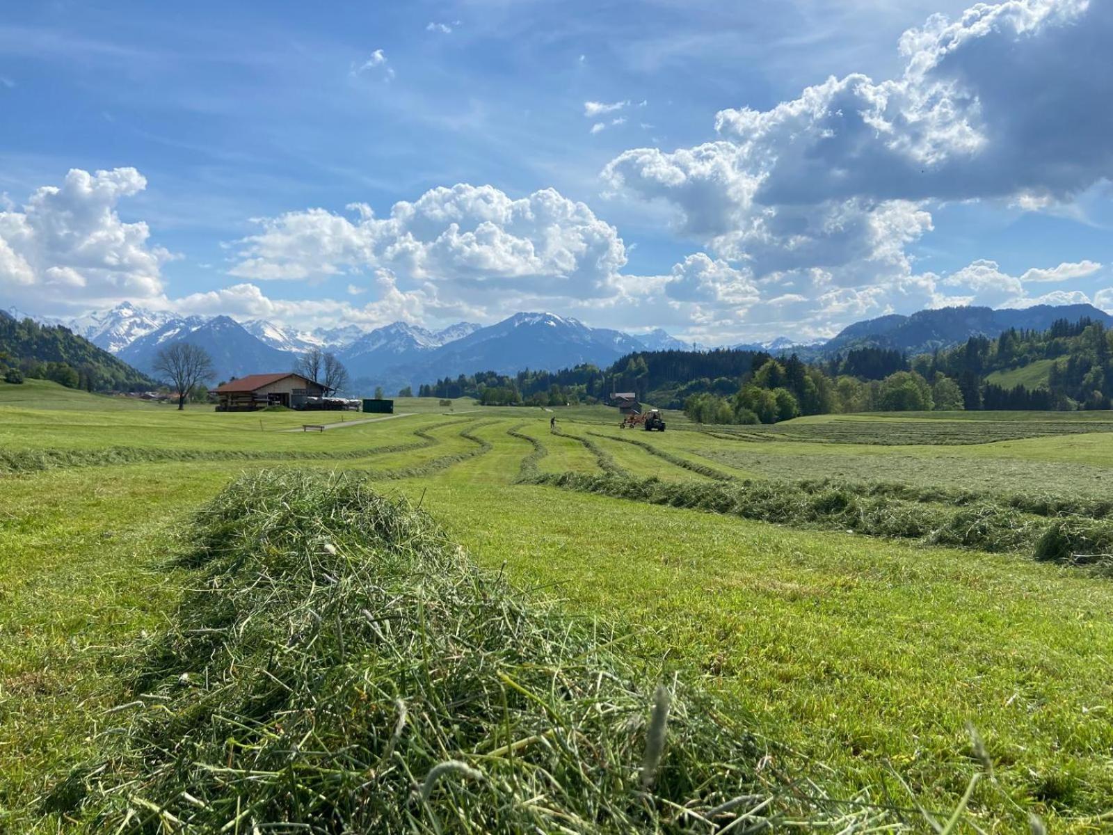 Hemerhof - Ferienwohnungen Оберстдорф Экстерьер фото