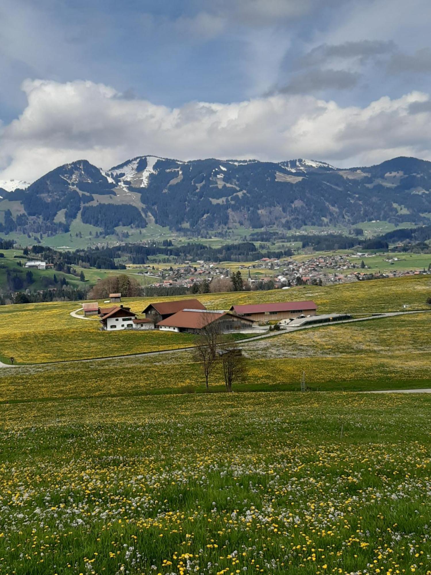 Hemerhof - Ferienwohnungen Оберстдорф Экстерьер фото